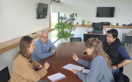 Gestiones para regularizar la oferta de alojamiento en Viedma