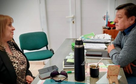 Reconocimiento del Deliberante