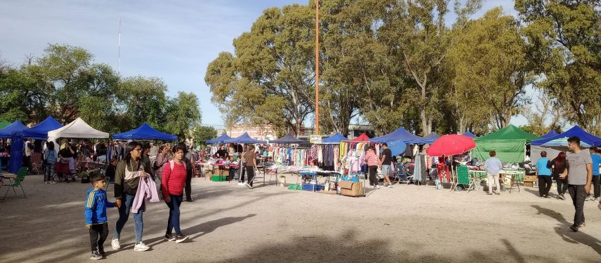 El Pulso de la Esperanza en Patagones: La Economía Social como Ancla en la Crisis