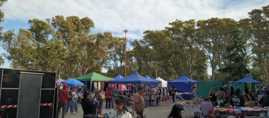 El Pulso de la Esperanza en Patagones: La Economía Social como Ancla en la Crisis